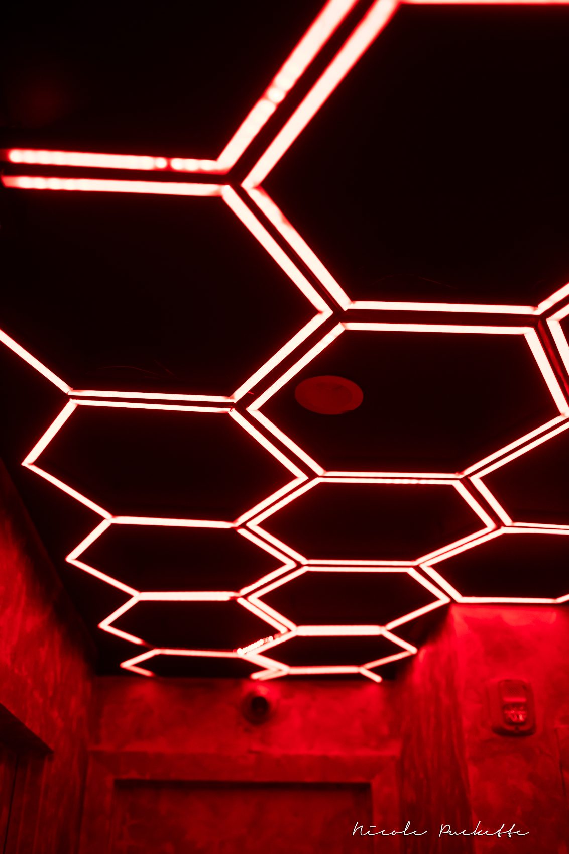 Red neon honeycomb ceiling in the Red Room